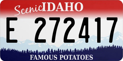 ID license plate E272417