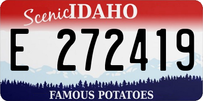 ID license plate E272419