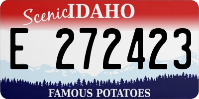 ID license plate E272423