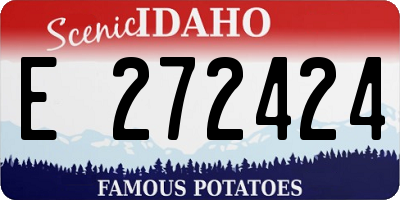 ID license plate E272424