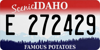 ID license plate E272429