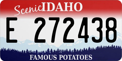 ID license plate E272438