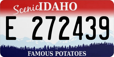 ID license plate E272439