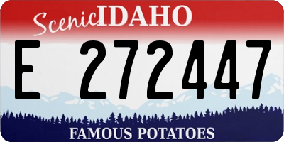ID license plate E272447