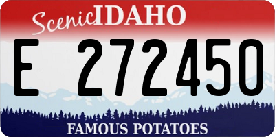 ID license plate E272450