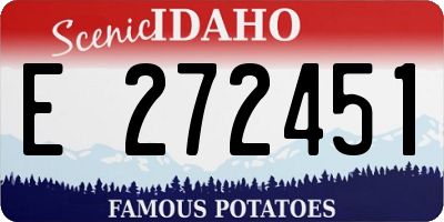 ID license plate E272451