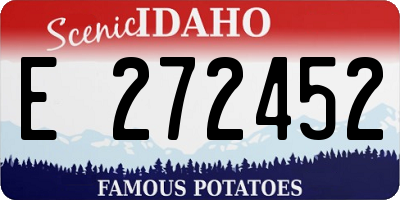 ID license plate E272452