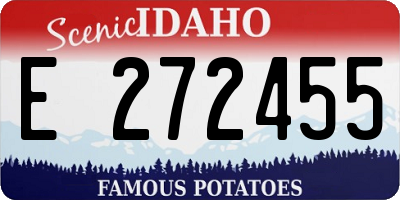 ID license plate E272455