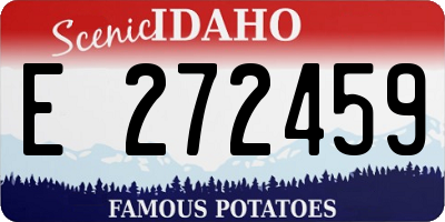 ID license plate E272459