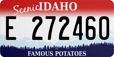 ID license plate E272460