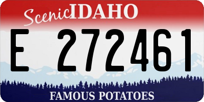 ID license plate E272461
