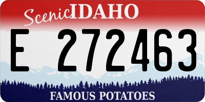 ID license plate E272463