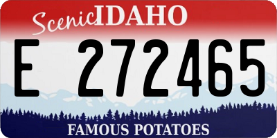 ID license plate E272465