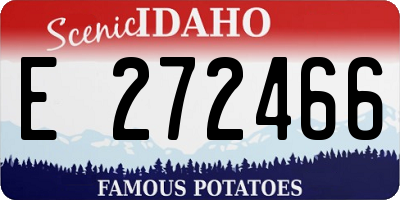 ID license plate E272466