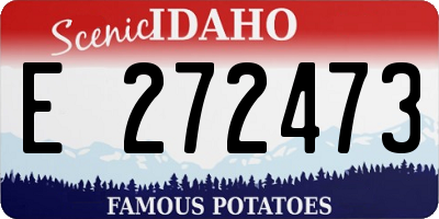 ID license plate E272473