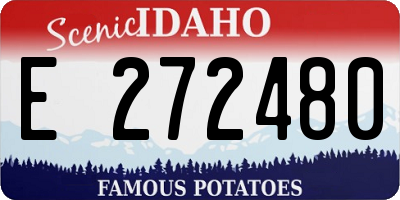 ID license plate E272480