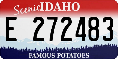 ID license plate E272483