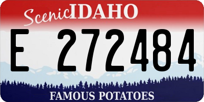 ID license plate E272484