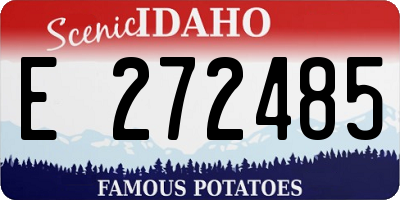 ID license plate E272485