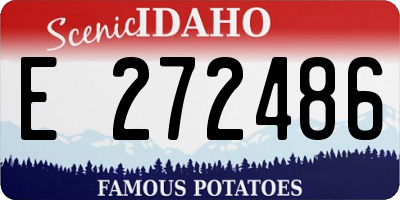 ID license plate E272486