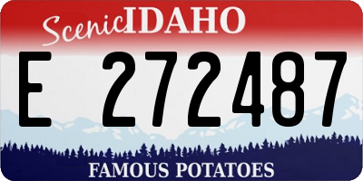 ID license plate E272487