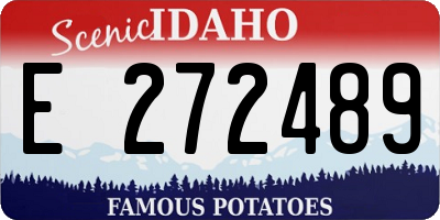 ID license plate E272489