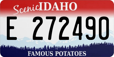 ID license plate E272490