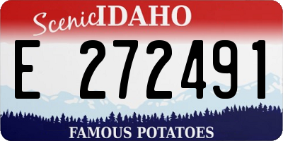 ID license plate E272491