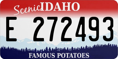 ID license plate E272493
