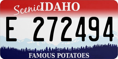 ID license plate E272494