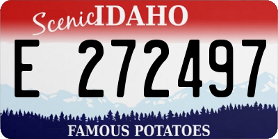 ID license plate E272497