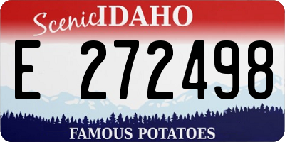 ID license plate E272498
