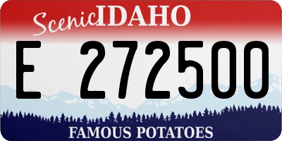 ID license plate E272500