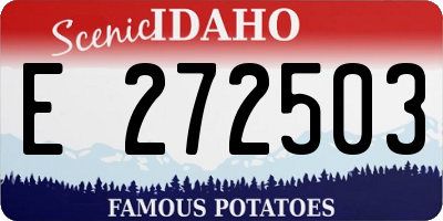 ID license plate E272503