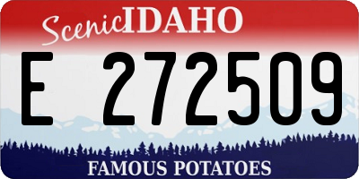 ID license plate E272509