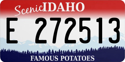 ID license plate E272513