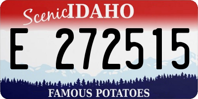 ID license plate E272515