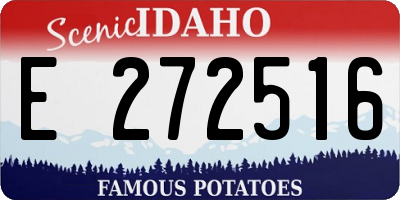 ID license plate E272516