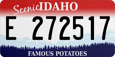 ID license plate E272517