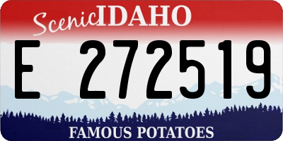 ID license plate E272519