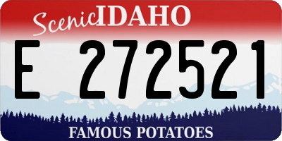 ID license plate E272521