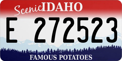 ID license plate E272523