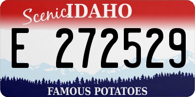 ID license plate E272529