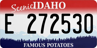 ID license plate E272530