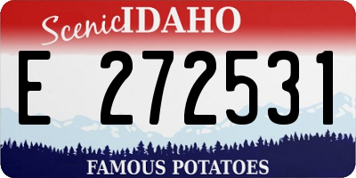 ID license plate E272531