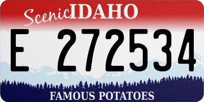 ID license plate E272534
