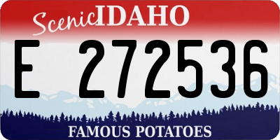 ID license plate E272536
