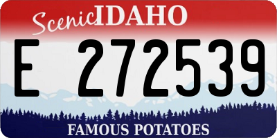 ID license plate E272539