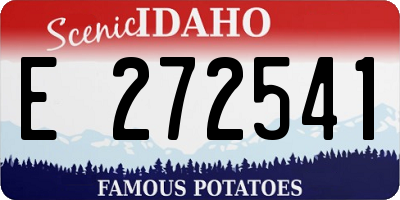 ID license plate E272541