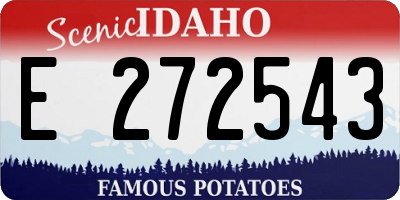 ID license plate E272543